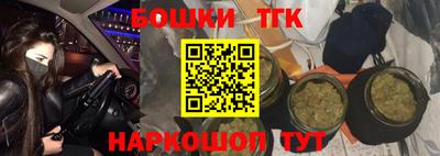 гашик Тулун