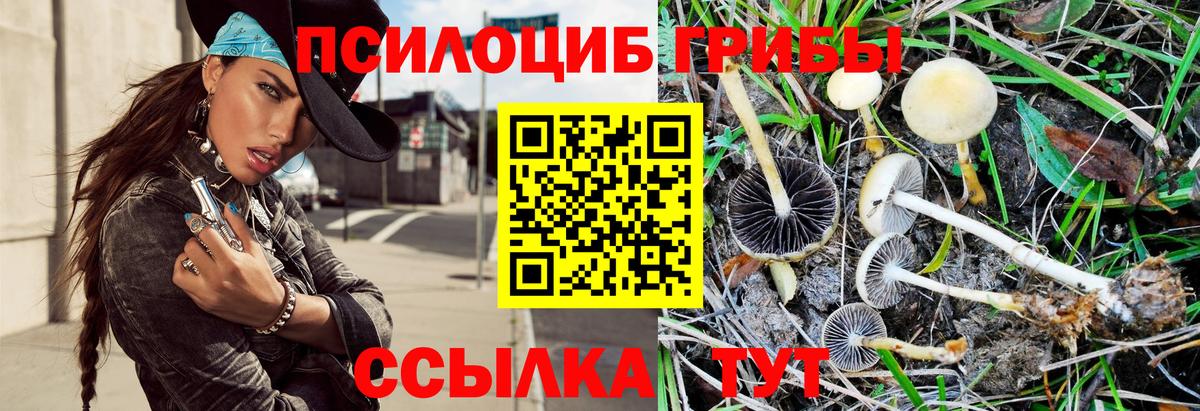 Галлюциногенные грибы прущие грибы Мыски